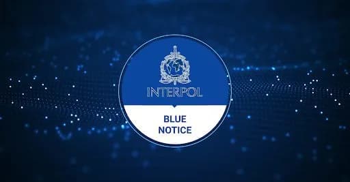 Comparing Interpol Blue and Yellow Notices